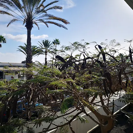 Tamara Apartment Maspalomas (Gran Canaria)